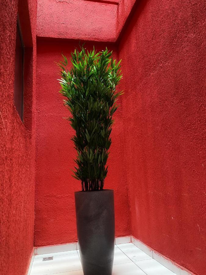 Apartment Flat Jk 202 *